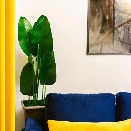 Andor Luxury & Duplex